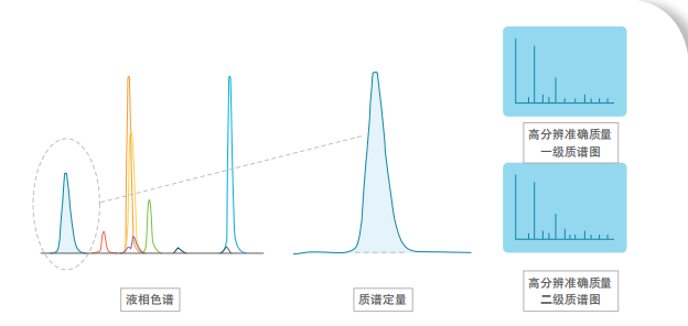 液相色譜 質(zhì)譜定量 質(zhì)譜圖